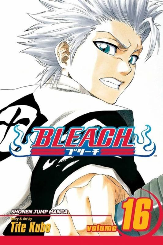 Kniha: Bleach 16 - Kubo Tite