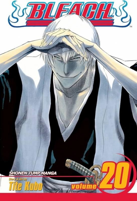 Kniha: Bleach 20 - Kubo Tite