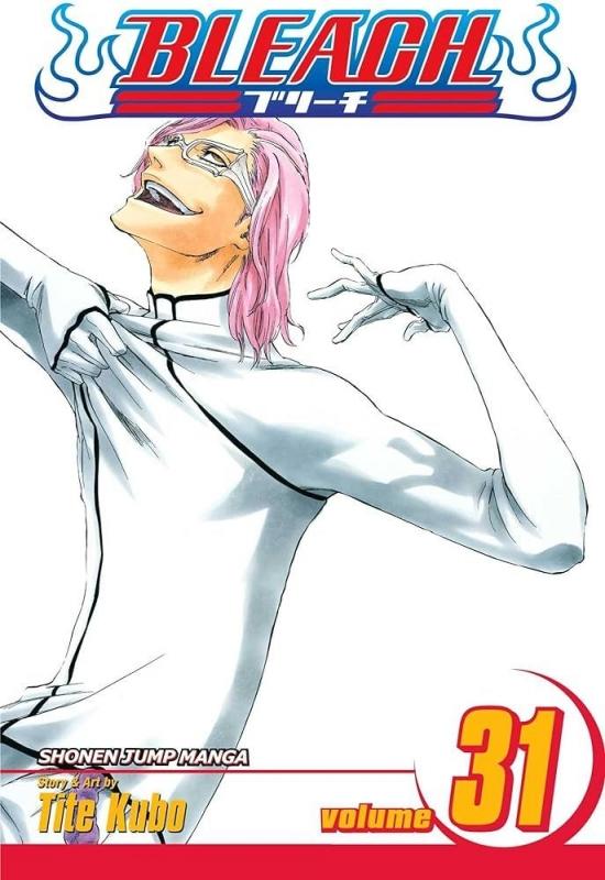 Kniha: Bleach 31 - Kubo Tite