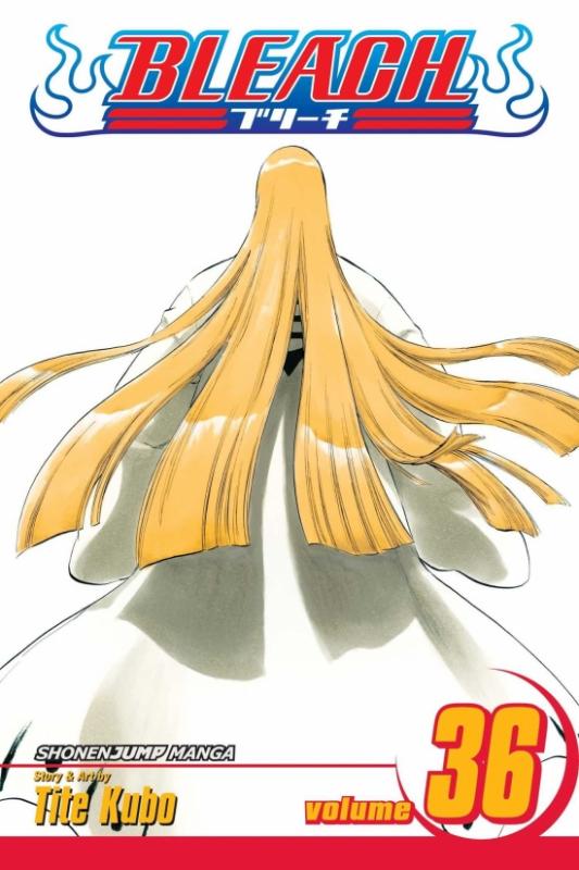 Kniha: Bleach 26 - Kubo Tite