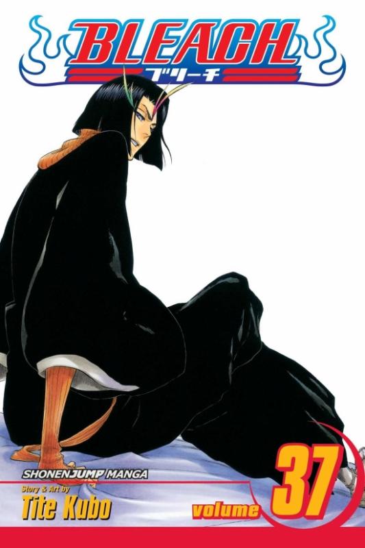 Kniha: Bleach 37 - Kubo Tite