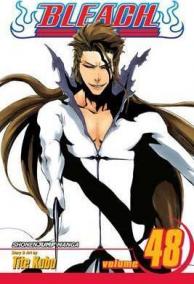 Bleach 48 (anglicky)