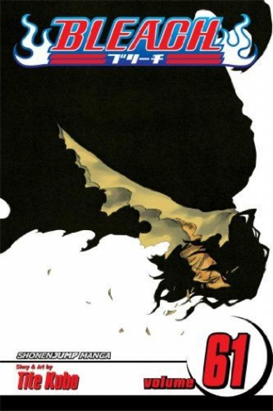 Kniha: Bleach 61 - Kubo Tite