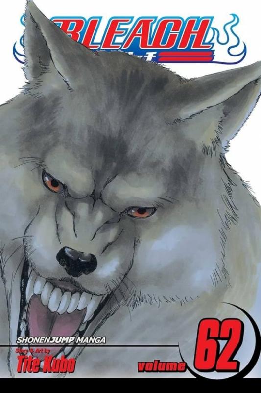 Kniha: Bleach 62 - Kubo Tite