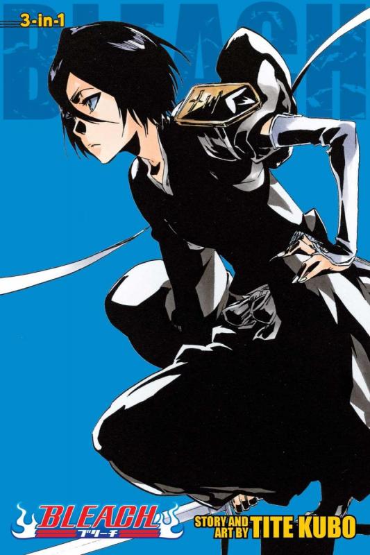 Kniha: Bleach 52, 53 - 54 - Kubo Tite