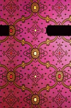 Kniha: Diář French Ornate Fuchsia 2015 DAYautor neuvedený