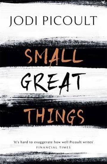 Kniha: Small Great Things - Picoultová Jodi