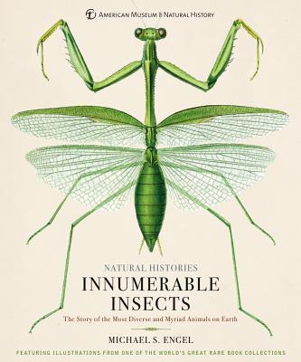 Kniha: Innumerable Insects : The Story of the Most Diverse and Myriad Animals on Earth - Engel Michael S.