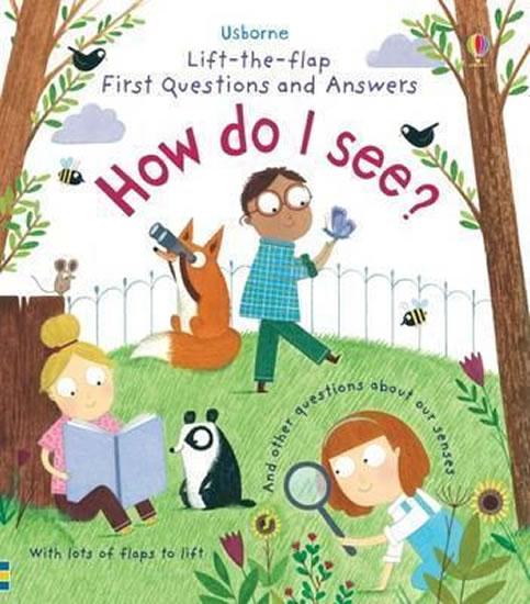 Kniha: How Do I See? - Daynes Katie