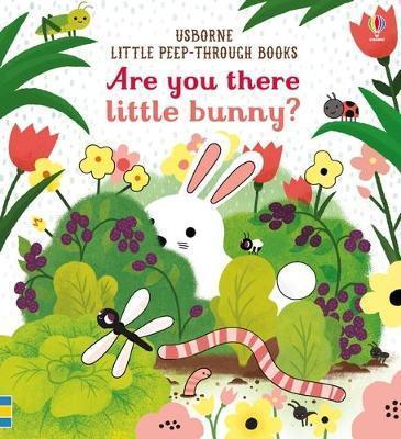 Kniha: Are You There Little Bunny? - Taplin Sam