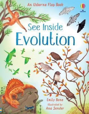 Kniha: See Inside Evolution - Bone Emily