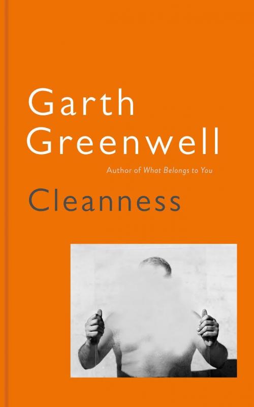 Kniha: Cleanness - Greenwell Garth