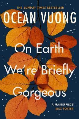 Kniha: On Earth We´re Briefly Gorgeous - Vuong Ocean