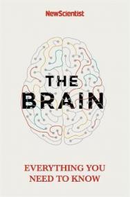 The Brain : Everything You Need to Know