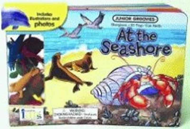 Kniha: At the Seashore Board Book - Koeppel Ruth