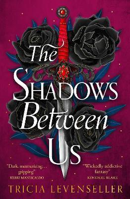 Kniha: The Shadows Between Us - Levenseller Tricia