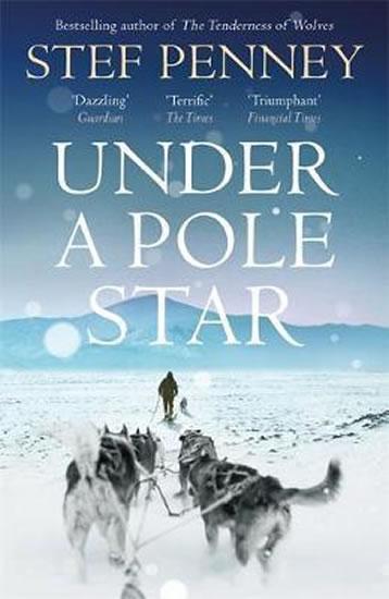 Kniha: Under a Pole Star - Penney Stef