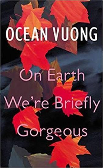 Kniha: On Earth We´re Briefly Gorgeous - Vuong Ocean