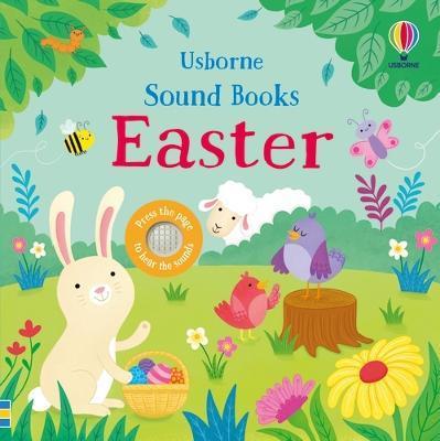 Kniha: Easter Sound Book - Taplin Sam