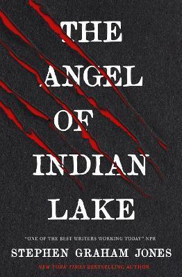 Kniha: The Angel of Indian Lake - Jones Stephen Graham