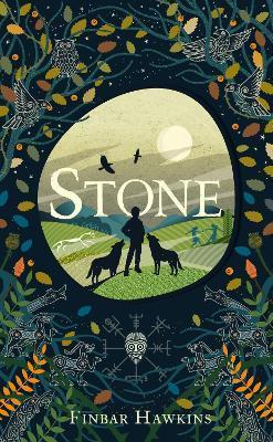 Kniha: Stone - Hawkins Finbar