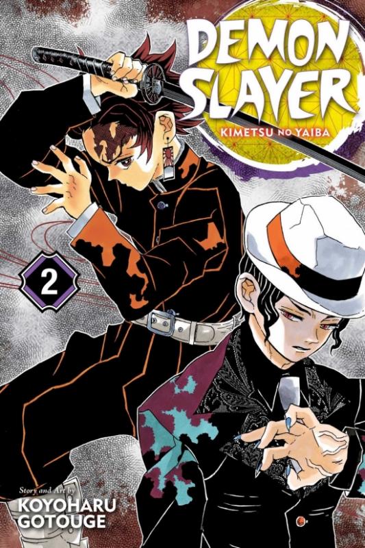 Kniha: Demon Slayer: Kimetsu no Yaiba 2 - Gotouge Koyoharu