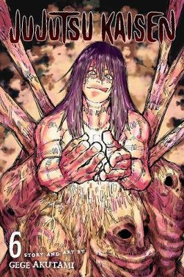 Kniha: Jujutsu Kaisen 6 - Akutami Gege