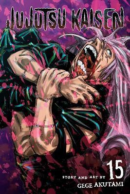 Kniha: Jujutsu Kaisen 15 - Akutami Gege