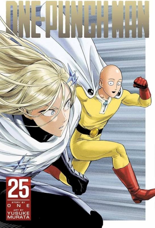 Kniha: One-Punch Man 25 - ONE