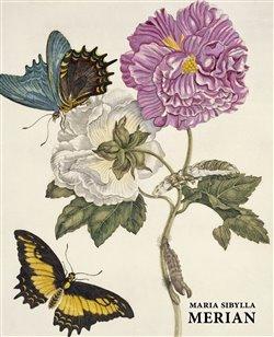 Kniha: Maria Sibylla Merian - Kiecol, Daniel