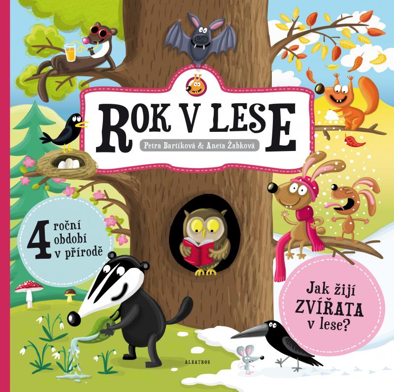 Kniha: Rok v lese - Aneta Žabková, Petra Bartíková