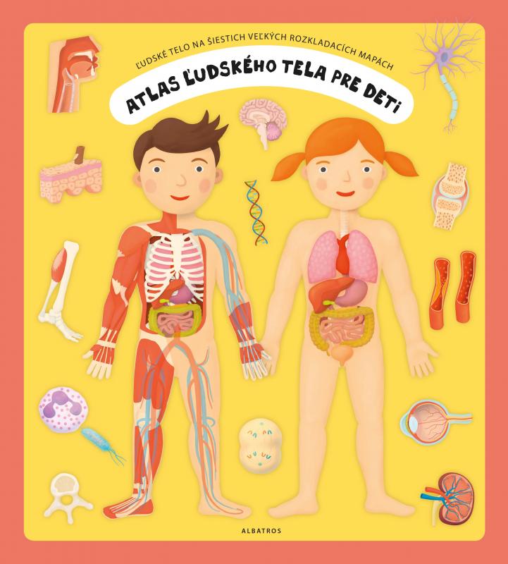 Kniha: Atlas ľudského tela pre deti - Oldřich Růžička