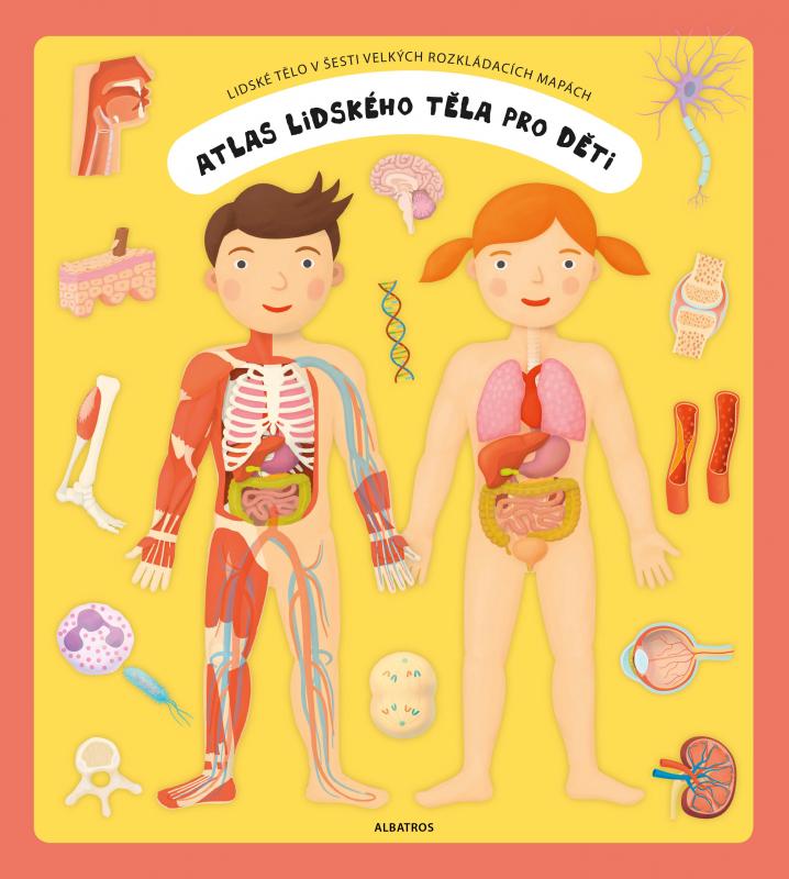 Kniha: Atlas lidského těla pro děti - Oldřich Růžička