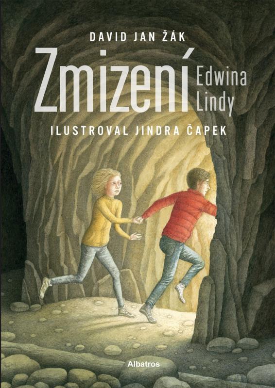 Kniha: Zmizení Edwina Lindy - David Jan Žák