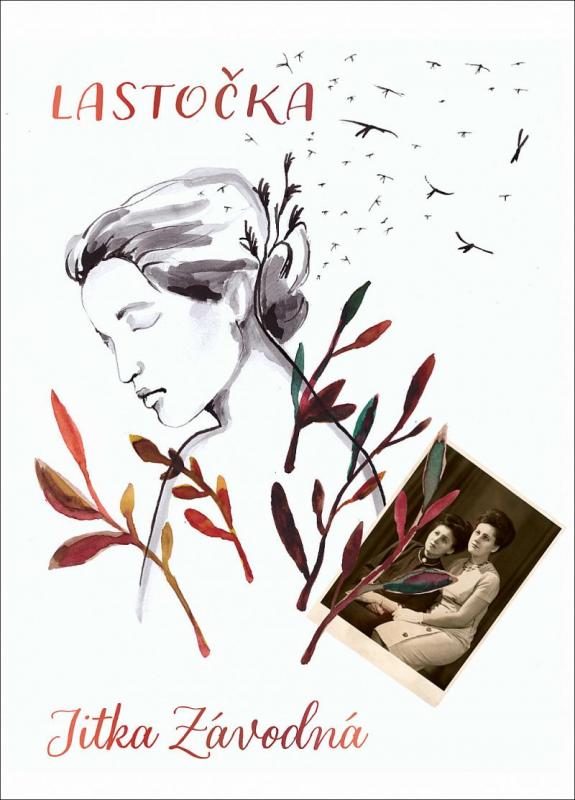 Kniha: Lastočka - Závodná Jitka