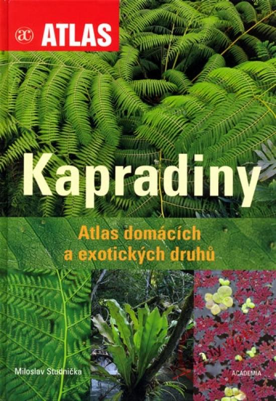 Kniha: Kapradiny - Atlas domácích a exotických druhů - Studnička Miloslav