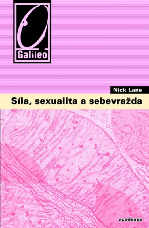Kniha: Síla, sexualita a sebevražda - Lane Nick