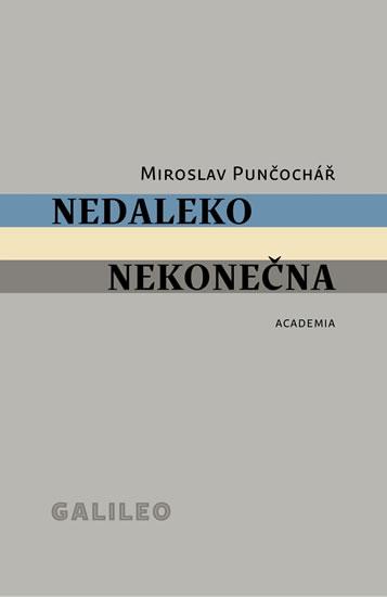 Kniha: Nedaleko nekonečna - Punčochář Miroslav