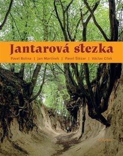 Kniha: Jantarová stezkakolektív autorov