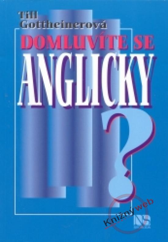 Kniha: Domluvíte se anglicky? - Gottheinerová Till
