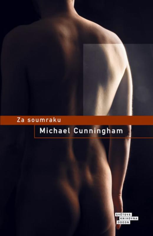 Kniha: Za soumraku - Cunningham Michael