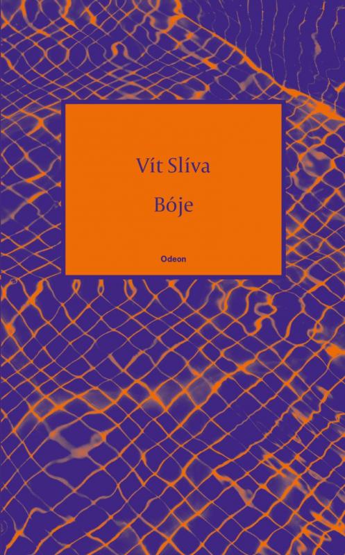 Kniha: Bóje - Slíva Vít