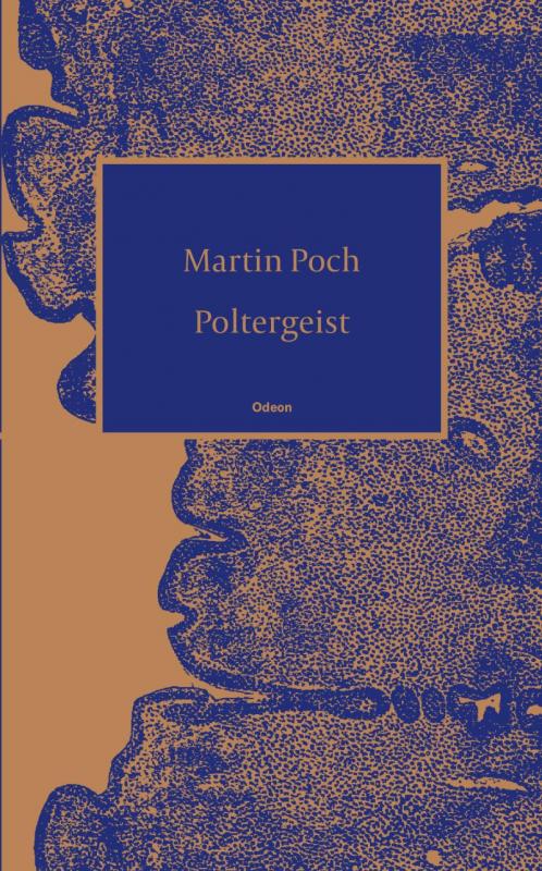 Kniha: Poltergeist - Poch Martin