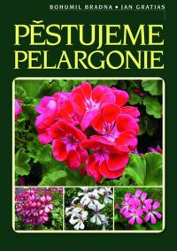 Pěstujeme pelargonie