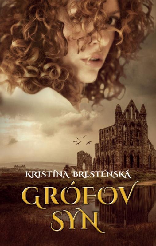 Kniha: Grófov syn - Brestenská Kristína