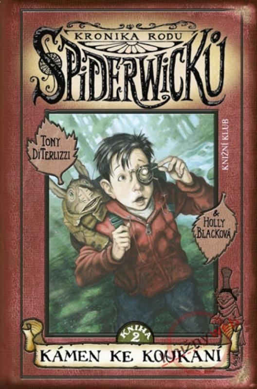 Kniha: Kámen ke koukání - DiTerlizzi Tony-Blacková Holly