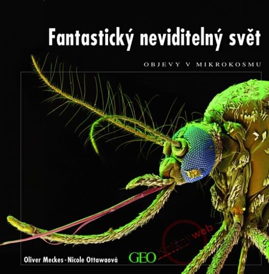 Kniha: Fantastický neviditelný svět - Meckes, Nicole Ottawa. Oliver