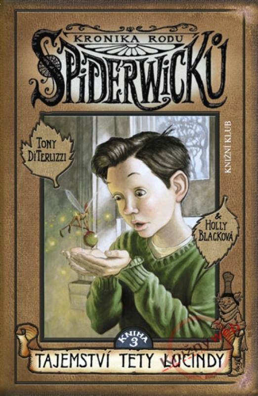 Kniha: Tajemství tety Lucindy - DiTerlizzi Tony-Blacková Holly
