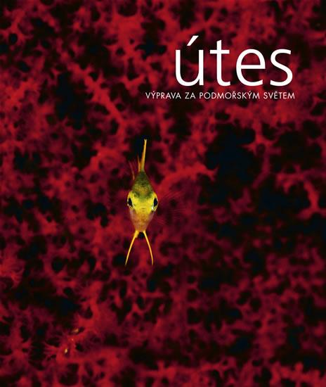 Kniha: Útes (+ DVD) - Výprava za podmořským světem - Scubazoo