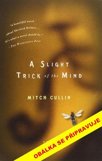Kniha: Mr. Holmes - Cullin Mitch